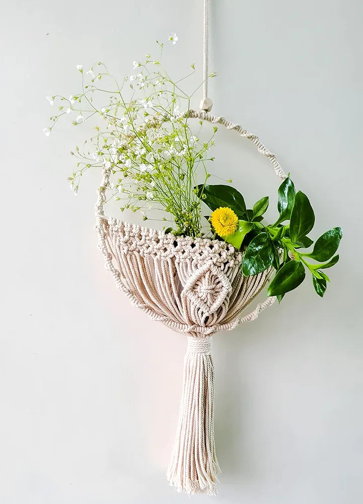 Zippy Flora Wall Basket Combo + Macrame Plant Hanger For Home Decor , Multicolor