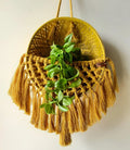 Zippy Flora Handmade Macrame Basket for Plants Perfect for Living Room/Home Decor/Boho Corners/Garden & Green Spaces 